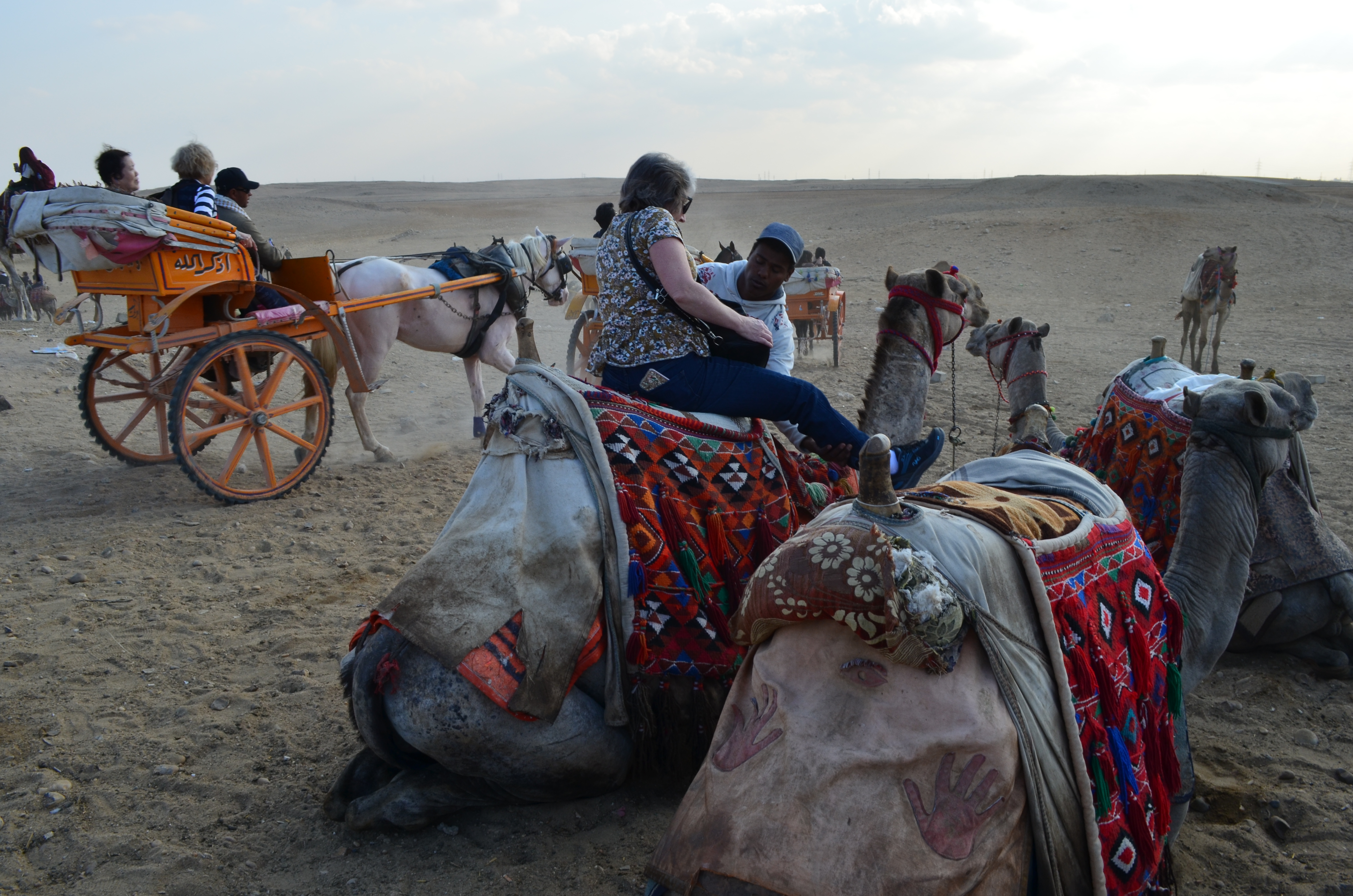 ./2018/16 - Egypt/03 - Pyramids/DSC_0293.JPG